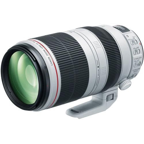 Buy Canon EF 100-400mm f/4.5-5.6 L IS II USM Lens