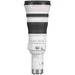 Canon RF 800mm f/5.6 L IS USM Lens price