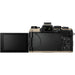 Review OM System OM-5 Mark II Mirrorless Camera Body (Sand Beige)