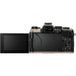 Review OM System OM-5 Mark II Mirrorless Camera Body (Sand Beige)