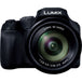 Buy Panasonic DC-FZ80D Digital Camera (Black)