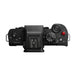 Panasonic Lumix DC-G100D Camera Body Online