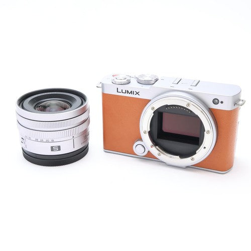 Buy Panasonic Lumix DC-S9N body with 18-40mm F/4.5-6.3 Lens (Camel Orange, DC-S9N))