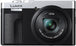 Buy Panasonic Lumix DC-TZ99 Body (Silver Black)