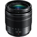 Panasonic Lumix DC-G100DM Black Mirrorless Camera with 12-60mm f/3.5-5.6 Camera Lens Online