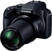 Panasonic DC-FZ85D Digital Camera (Black) in UK