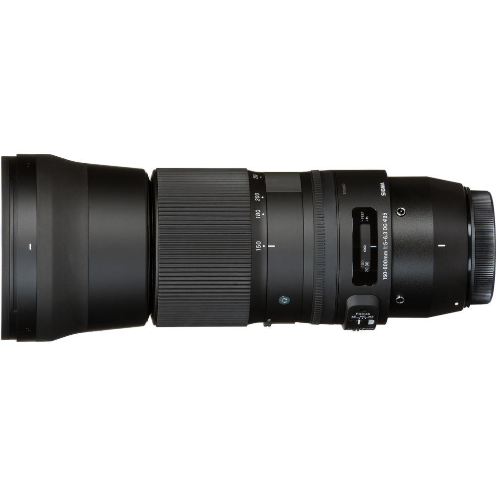 Sigma 150-600mm f/5-6.3 DG OS HSM Contemporary (Nikon) review